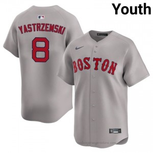 Carl Yastrzemski #8 Red Sox Gray Youth Limited Embroidery Baseball Jersey q2IHA569