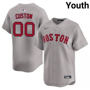 BOS Red Sox #00 Custom Gray Youth Premium Embroidery Baseball Jersey w6enyn56