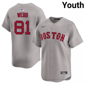 Jacob Webb #81 Red Sox Gray Youth Limited Embroidery Baseball Jersey 24B3RB44