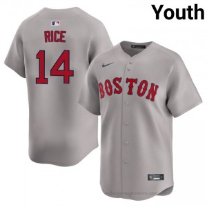 BOS Red Sox #14 Jim Rice Gray Youth Premium Embroidery Baseball Jersey y1r1Hc38