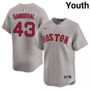 BOS Red Sox #43 Patrick Sandoval Gray Youth Premium Embroidery Baseball Jersey 6211CR90