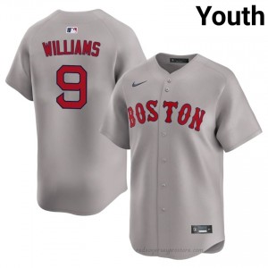 BOS Red Sox #9 Ted Williams Gray Youth Premium Embroidery Baseball Jersey q7H87V73