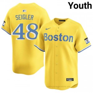 #48 Anthony Seigler Gold Youth BoSox Classic Stitched Baseball Jersey 25h07036