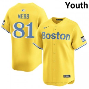 Jacob Webb #81 Red Sox Gold Youth MLB Stitched Baseball Jersey e05kP549