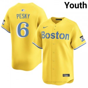 Johnny Pesky #6 Red Sox Gold Youth MLB Stitched Baseball Jersey 1K0a4393